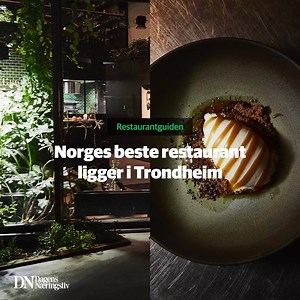 9.4K views | #annonse Hver uke anmelder DN en ny restaurant - fra Michelin-nivå til nabolagsbrasseriet. Hold deg oppdatert med DNs restaurantguide og få tips om de nyeste og beste stedene. | Dagens Næringsliv | Facebook