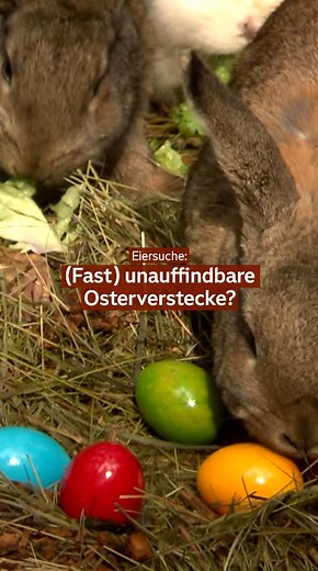 1.4K views | Der Osterhase hat so seine Tricks, damit die bunten Eier nicht auf Anhieb gefunden werden. Ganz schön schlau stellt er es an und bemüht sich jedes Jahr neu um das beste Osterversteck. 讀 Wir haben nachgefragt, woran er denn als Versteck schon alles gedacht hat. #FragederWoche #Ostereier #Verstecke #Südtirol | Südtirol Heute | Facebook