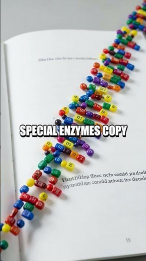 Decoding DNA The Blueprint That Shapes Life