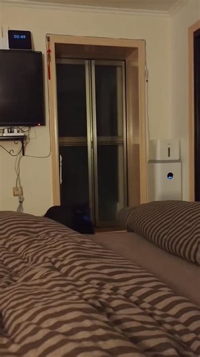 Huhu 🐾 on Instagram: "怎么能拒绝小猫咪的游戏邀约呢 巴扎是如此的乐此不疲 #小黑猫 #毛孩子的日常 #猫咪的迷惑行为 #曼基康矮脚 #小奶猫的成长日记 #catlovers #blackcat_features #cat #catlife #blackcatsofinstagram🐾 #catoftheday #cutecat #"