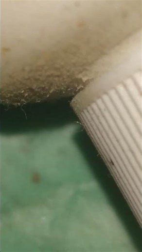 #how dust look from microscope
