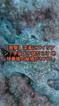 【衝撃】深海にエイリアン？宇宙より謎だらけ 地球最後の秘境がヤバい #宇宙の雑学
