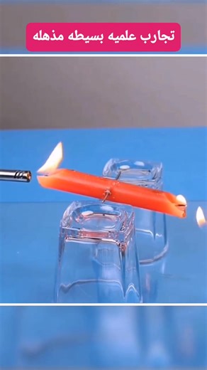 🔮 اكتشف أسرار العلم بنفسك! تجارب بسيطة لكن وراها تفسيرات مدهشة 🔬💡 استعد تشوف العادي بشكل غير عادي ✨👀 Yalla Science | Yalla Science