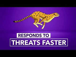 Spark Cloud Managed Security Service Edge (SSE)