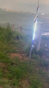 2.3M views · 16K reactions | Electric Eel Fish It's a fascinating creature known for its ability to generate powerful electric shocks, which it uses for hunting, defense, and navigation. | The Ancient Scientist | Facebook