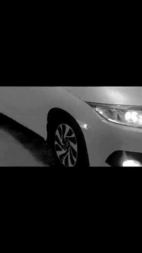 Civic x ( Pearl white clour wrapping & other accorie ( spilor diffuser etc. install by carguru. | Team Carguru