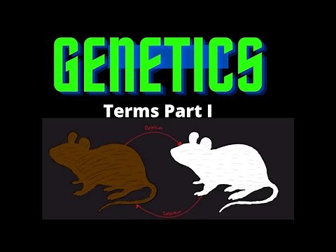 USMLE Step 1 - Lesson 31 - Genetics Terms Part I