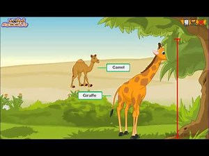 Every Type of Hoofed Mammal *Explained* Animal Science for Kids!