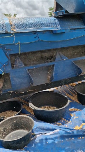 Smart idea to shell corn with a unique tool-Agriculture farming #shorts