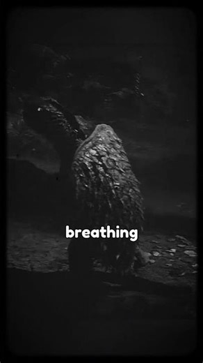 Gamera’s Nuclear Birth – The Turtle Awakened by an Atomic Bomb!