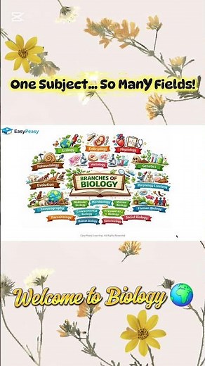 Branches of Biology Explained 🌱 | Easy Overview for Students