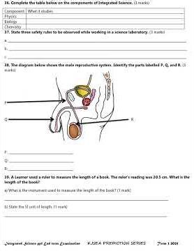 Grade 7 Integrated Science Paper 1 End Term 3 2025 Exam with Marking Scheme