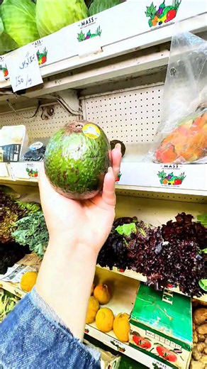 3K views · 45 reactions | 11 Days of MEGA Savings at CSD!  25th Dec – 4th Jan 2026 100+ items on discount  Groceries | Crockery | Electronics | Fresh Meat | Toys | Gifts & Décor — ALL under one roof! Stock up before New Year with quality you can trust  Make your CSD Loyalty Card & enjoy up to 6% EXTRA discount  Valid at all CSD stores across Pakistan ⏰ Don’t miss out — visit your nearest CSD today! #csdPakistan #CSD #grocery #sales #discount | CSD Pakistan | Facebook