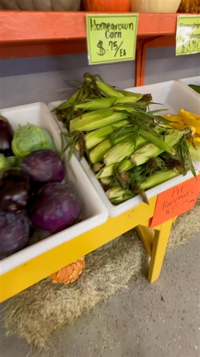 Shop local with us today from 10:00 to 3:00. | Atkinson Farms