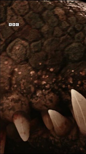 Something huge is coming to BBC iPlayer - BBC