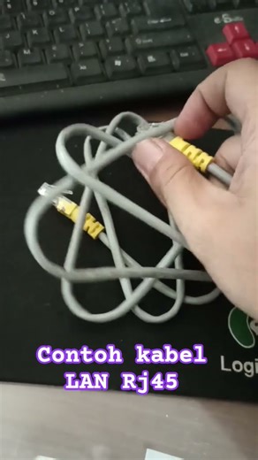 Rj45 LAN cable example