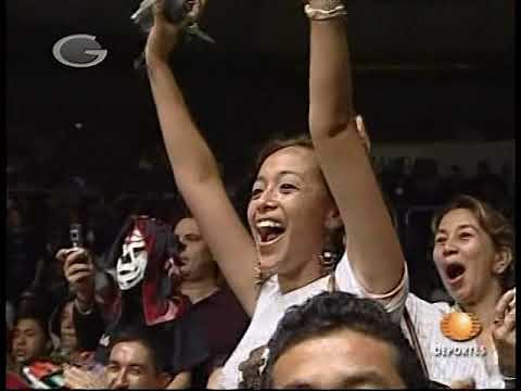 Elegido, La Parka Jr., Súper Porky, Zorro vs Abismo Negro, Antifaz, Histeria, Mr. Niebla