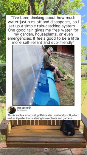RAIN CATCHING! 🌧️ Free Water Hack for Gardens and Plants #eco