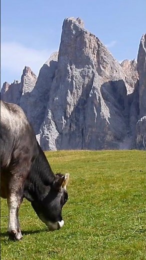 Dolomites: The Most Dramatic Peaks in the Alps