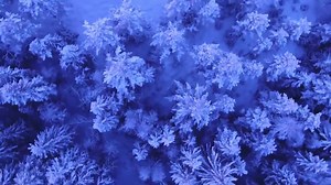 35K views · 78 shares | We can't forget those in need this winter....