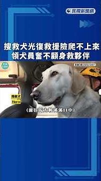 獨家！搜救犬光復救援「險爬不上來」 領犬員奮不顧身救夥伴讓人感動｜#透視新聞｜#民視人物誌｜民視新聞