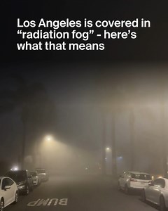 221K views · 1K reactions | What Is ‘Radiation Fog’? The 400-Mile Weather Phenomenon Had Landed In Los Angeles – And Has A Surprising Silver Lining For Local Farmers Read more below... | Secret Los Angeles | Facebook