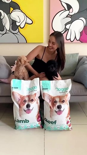 Check out how @meganbata and @mikaeldaez give Soba and Chia their best life with the Doggo pawfectly made dry food! 🐾🐶 --- #DoggoPH #DoggoPhilippines #DoggoBulliedParentsClub #dog #pets #onlinepetshop #doggo #doggoph #dogs #dogsofinstagram #doggy #doglovers #dogph #dogphilippines