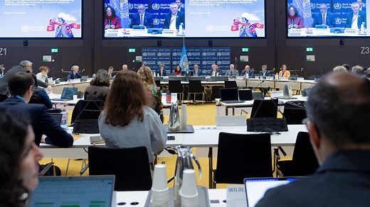 Thirteenth meeting of the Intergovernmental Negotiating Body (INB) for a WHO instrument on pandemic prevention, preparedness and response