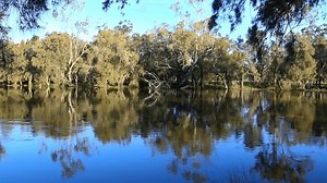 Riverbank Trees Reflecting Swan River Perth Stock Footage Video (100% Royalty-free) 4008076291 | Shutterstock