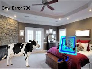 Cow Error 736