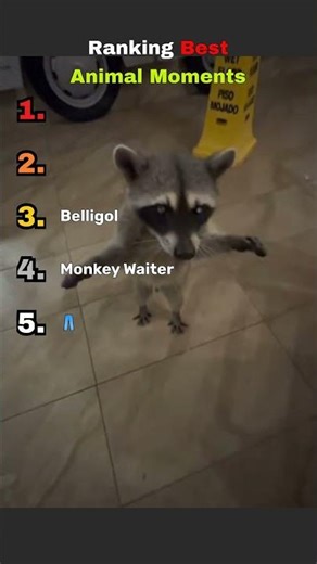 Ranking Best Animal moments! #viral #yotubeshorts