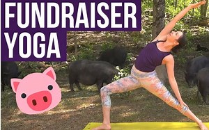 【Yoga with Kassandra】25分钟全身瑜伽流，全身拉伸，舒缓身心，亲近自然！