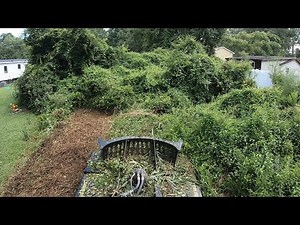 EASEMENT DISASTER CITY VIOLATION! 900 FEET OF OVERGROWN HELL!