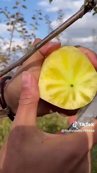 ASMR Fruit Sounds: Relaxing Fruit Eating & Tapping for Sleep