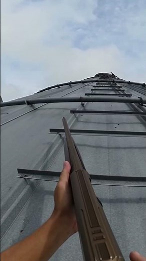 Precision Shots | Ultimate Birds Hunting Adventure