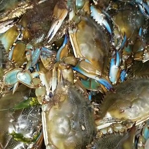 43 reactions · 8 comments | Live Crawfish available Friday! $6.49lb...