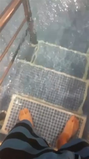 El despertar de la matrix | Jose Manuel Reyna