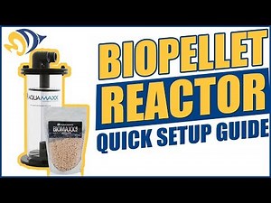 BioPellet Reactor Quick Setup Guide for Saltwater Aquariums