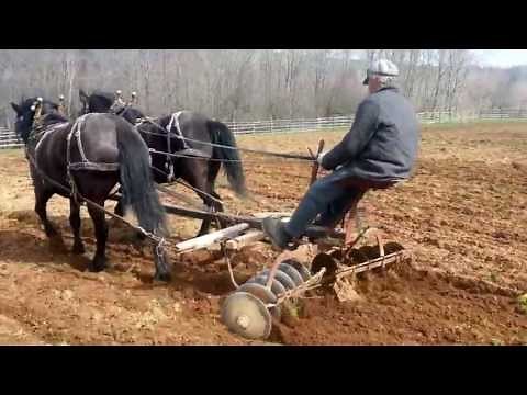 Canadian Horses - Disc Harrowing at Ross Farm Museum
