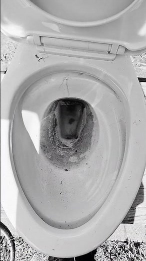 Peerless Typhoon First Flush