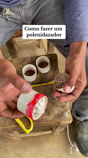 Como fazer um polenizador da flor do maracujá