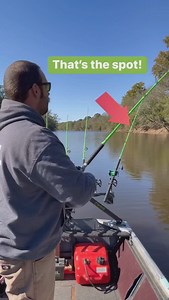 4REEL Fishing on Reels