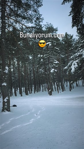 Uğur Can Demirhan on Instagram: "Kul bunaldı.com 😂 #viralreels #manzara #fypシ #keşfetteyiz #motivation"