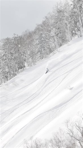 Send it with our huge deals on lessons, guiding and touring with Rhythm Rides! | Rhythm Japan