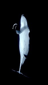 525K views · 9.6K reactions | A dance of light and darkness | Jono Allen Photography | Facebook