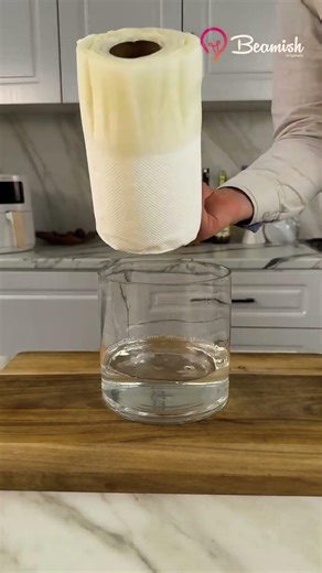Water absorption experiment! #easy #waterabsorption #experiment