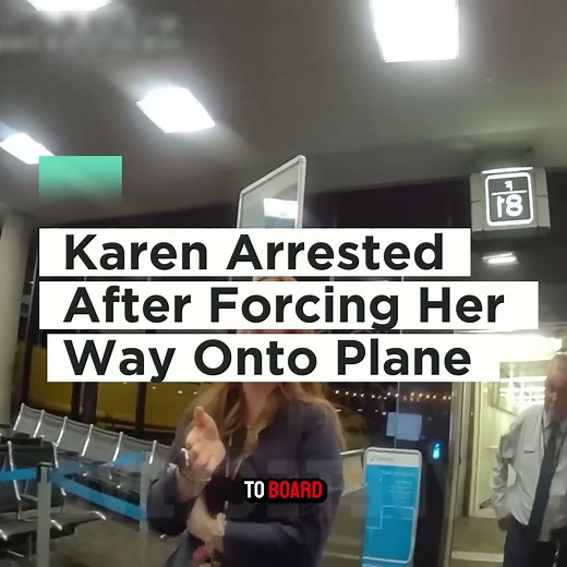 Officers Check on a Concern at the Airport Gate Resolved Through Clear Guidance From Responding Officers Learn why following airline procedures keeps everyone safe. #Police #BodyCam #AirportSafety #TravelAwareness #PublicSafety | Blue Lens Insights