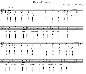 The Old Triangle sheet music and tin whistle notes