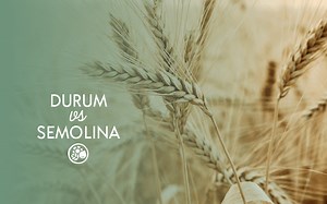 Durum Wheat VS Semolina | Same Food, Different Processing | PlantBasedFAQs.com | Learn About Plant-Based Foods