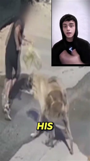 The Real Reason Dogs Bite (A Body Language Breakdown)